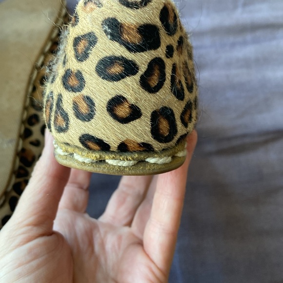 Loose Leopard Sabah - Picture 5 of 11